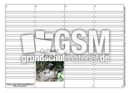 Faltbuch-Amsel-L-5.pdf